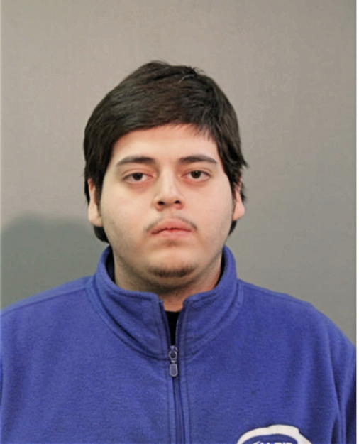NICOLAS GUERRERO, Cook County, Illinois