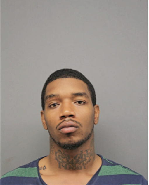 MARK A HALL, Cook County, Illinois