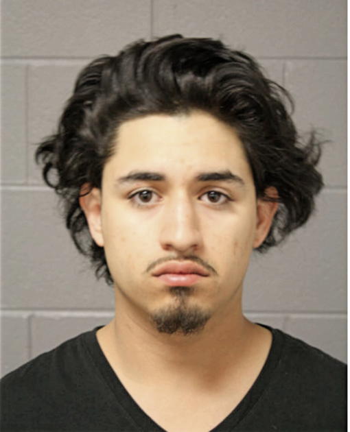 IGNACIO HERNANDEZ, Cook County, Illinois