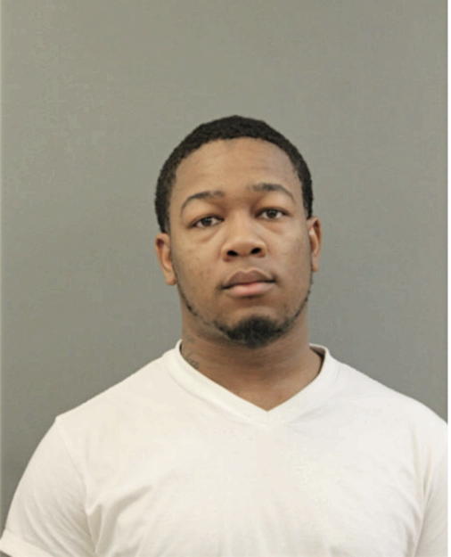 JEROME A JOHNSON, Cook County, Illinois