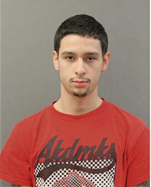 ERNEST DEANGELO JR, Cook County, Illinois