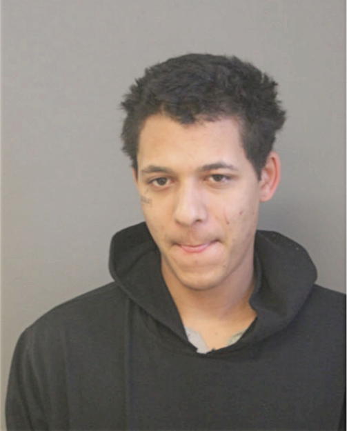 LAVON K YOUNG, Cook County, Illinois