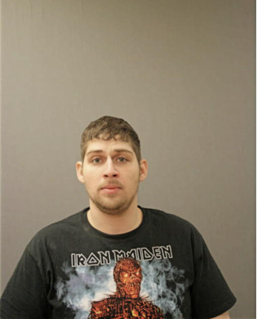 MICHAEL J LIBARIS, Cook County, Illinois