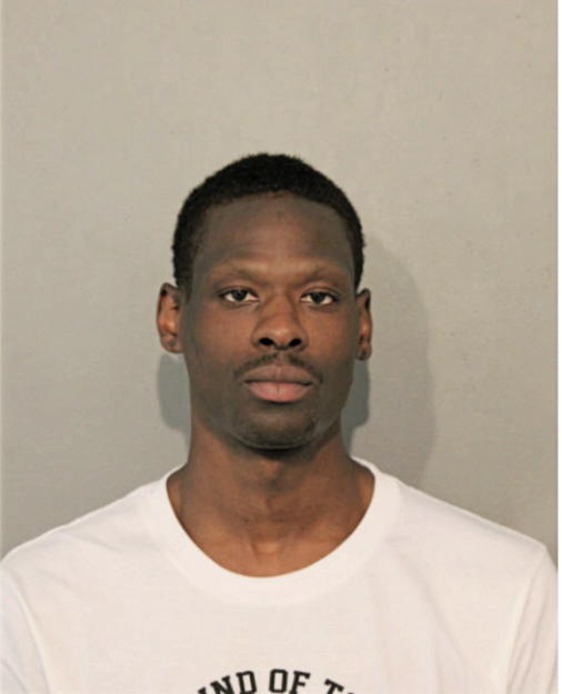 BRANDON M HAMILTON, Cook County, Illinois