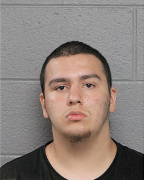 EDUARDO M VEGA, Cook County, Illinois