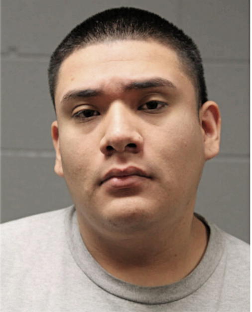 ELANO MEZA, Cook County, Illinois