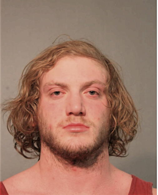 RICHARD F NEIDENBACH, Cook County, Illinois