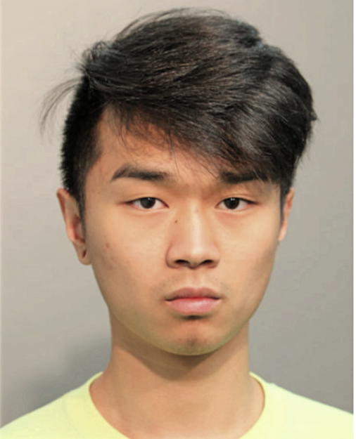 AN H NGUYEN, Cook County, Illinois