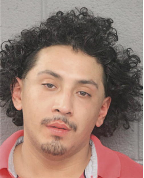 ANTONIO ORTEGA, Cook County, Illinois