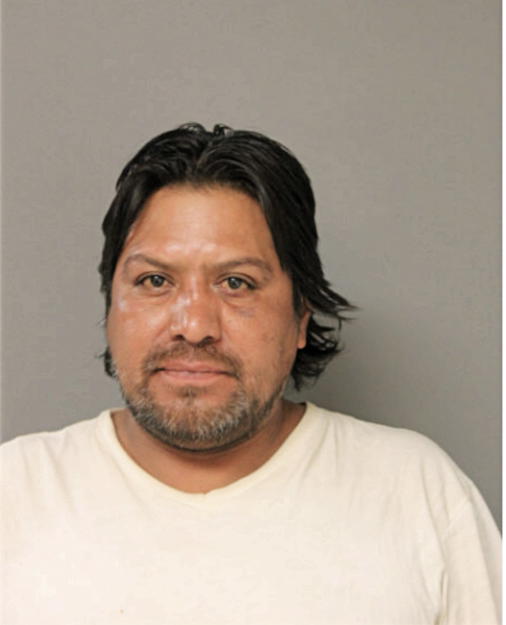 CARLOS ORTEGA, Cook County, Illinois