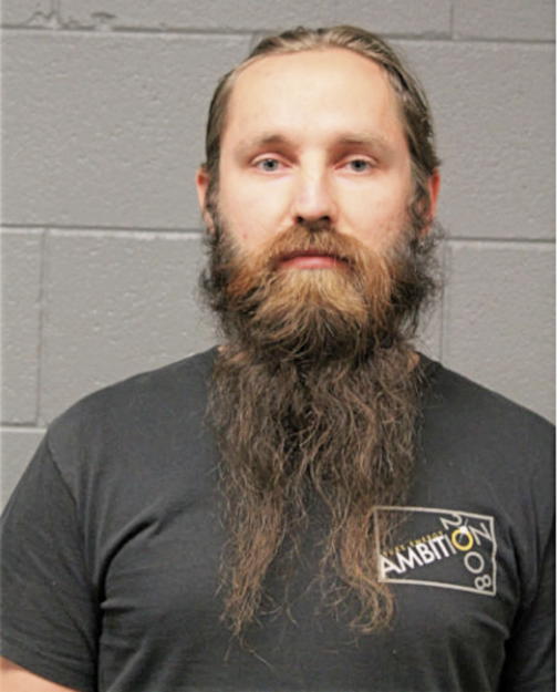 ANDREY V PRISYAZHNYUK, Cook County, Illinois