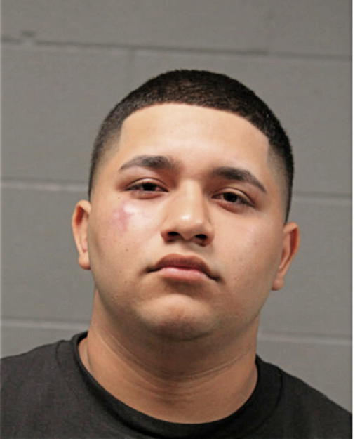 JORDAN O SALGADO, Cook County, Illinois