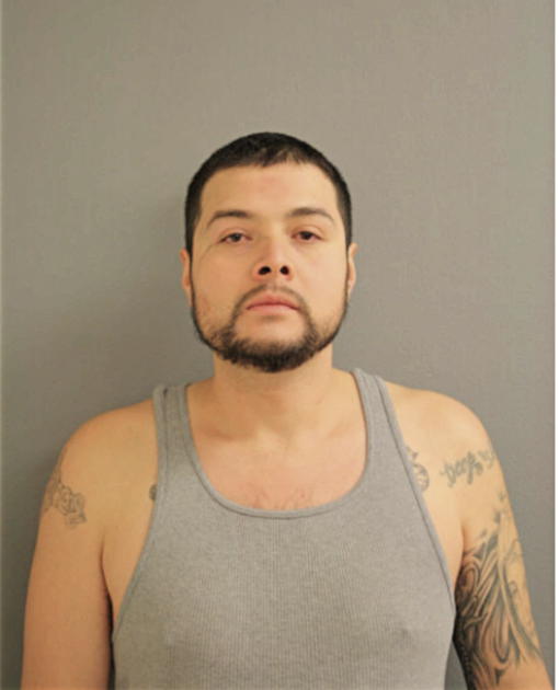 RAFAEL SANCHEZ-PINEDA, Cook County, Illinois