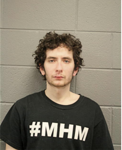 MICHAEL P SORDYL, Cook County, Illinois