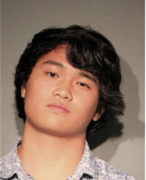 JAPHETH C TAN, Cook County, Illinois