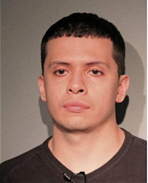 CEASAR A ZARATE, Cook County, Illinois