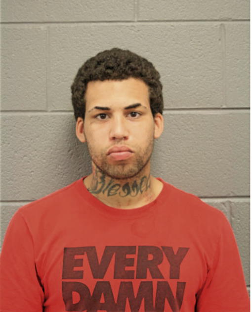 JORDAN W ZELENER, Cook County, Illinois