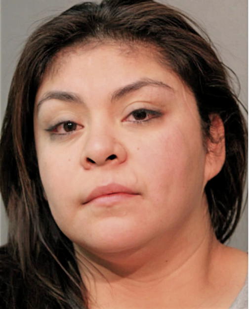 SAMANTHA P ABARCA, Cook County, Illinois