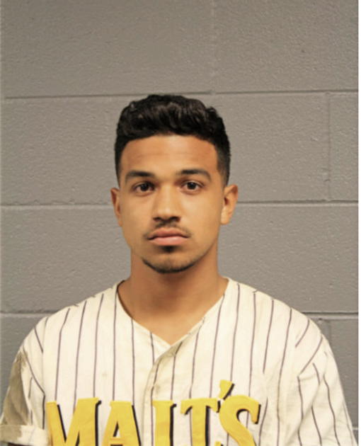 ANTONIO P ABREU, Cook County, Illinois