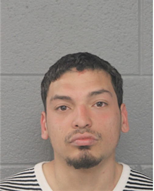 HECTOR G ALVAREZ, Cook County, Illinois