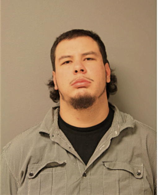 BACILIO R AVILES, Cook County, Illinois