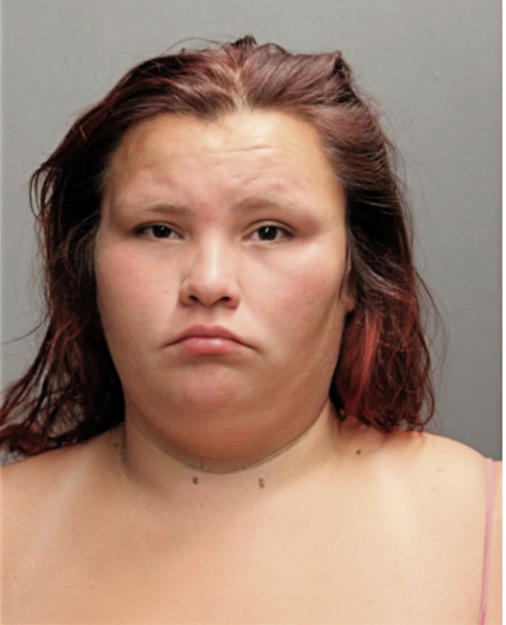 HEIDI BALL, Cook County, Illinois
