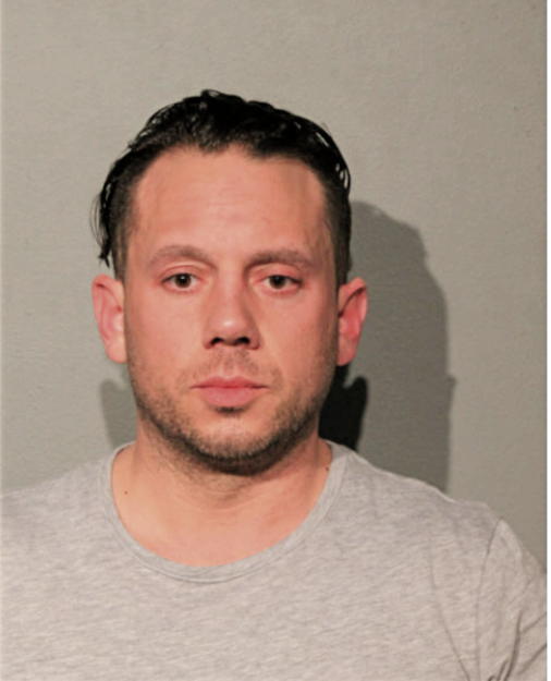 RYAN N BALZANTO, Cook County, Illinois