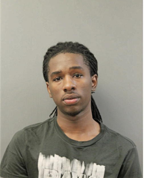 DARRYL J BROOKINS, Cook County, Illinois