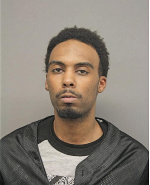 JARVIS B BURNS, Cook County, Illinois