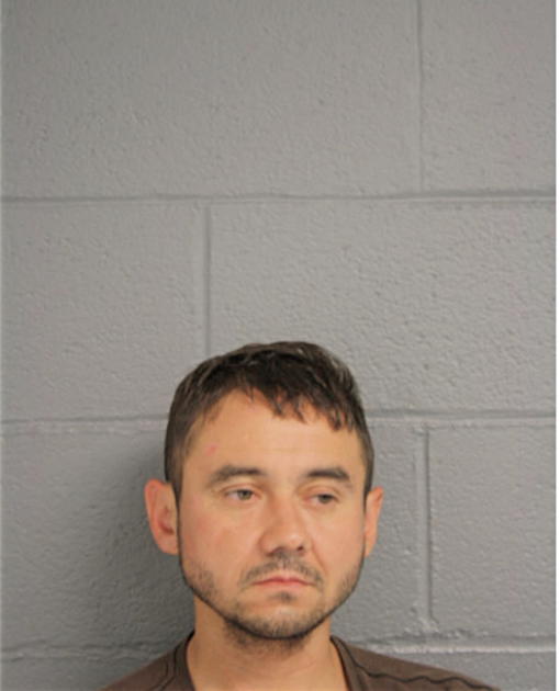EDWARD N BUSSE, Cook County, Illinois
