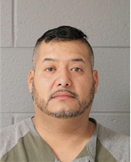 LUIS CARLO DELGADILLO -GARCIA, Cook County, Illinois