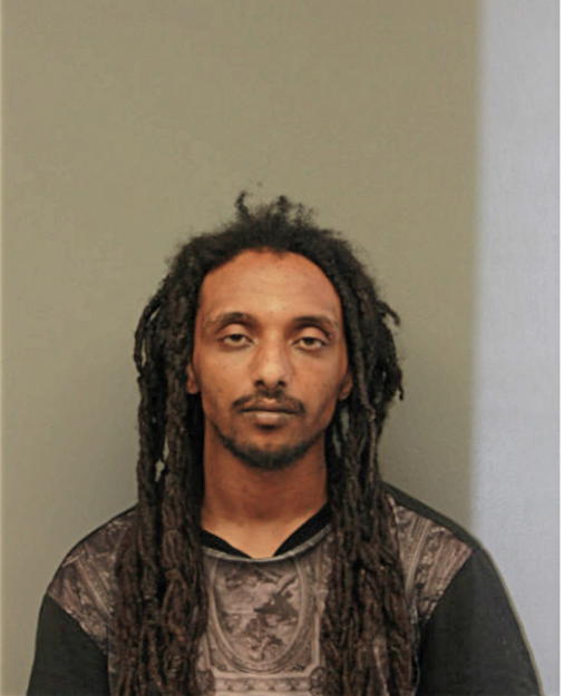 SAMUEL ENDALKAHEW, Cook County, Illinois