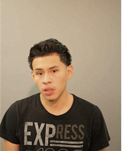 MISAEL FLORES, Cook County, Illinois