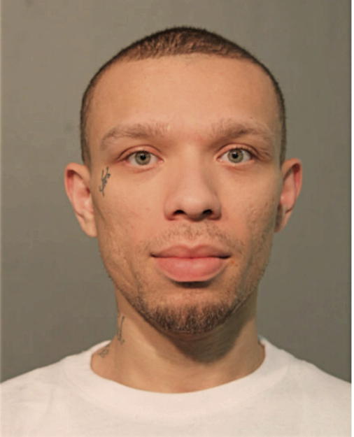 DAVID JR GONZALEZ, Cook County, Illinois