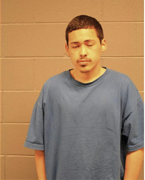 LUIS HERRERA, Cook County, Illinois