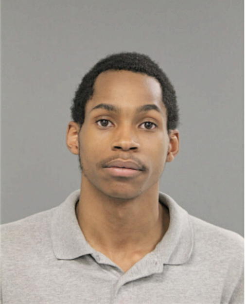 DAMIEN L JEFFRIES-BELL, Cook County, Illinois
