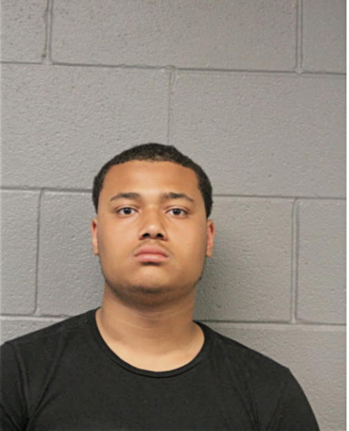 LOENARD L JOHNSON, Cook County, Illinois