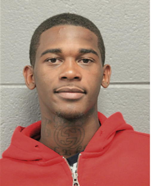TION T LEWIS, Cook County, Illinois