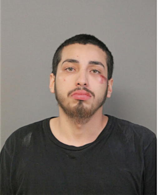 WILLIAM J MARRERO, Cook County, Illinois