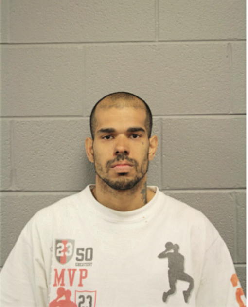 LUIS J MARTINEZ, Cook County, Illinois