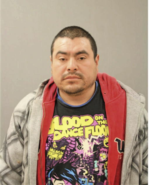 ROBERTO MEJIA, Cook County, Illinois