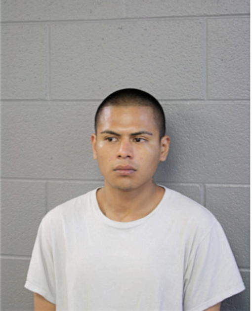 ARTURO MENDIOLA, Cook County, Illinois