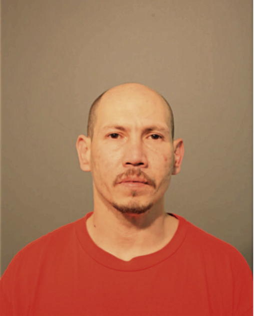 LUIS A MONTERO, Cook County, Illinois