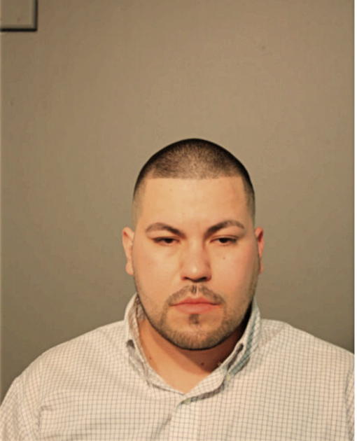 MIGUEL A NINO, Cook County, Illinois