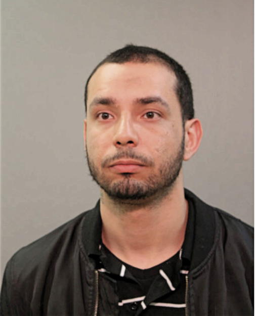 LUIS F OCHOA, Cook County, Illinois