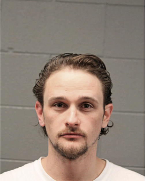 JAMES R PALM, Cook County, Illinois