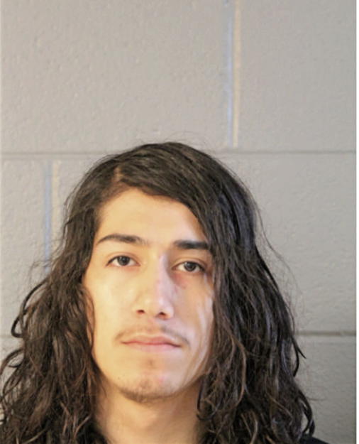 ALEXANDER PEDRO, Cook County, Illinois