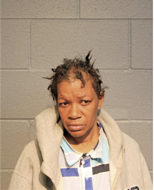 DIANE R RHOINEY, Cook County, Illinois