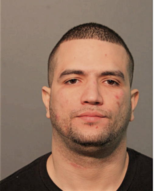 LUIS A RIVERA, Cook County, Illinois