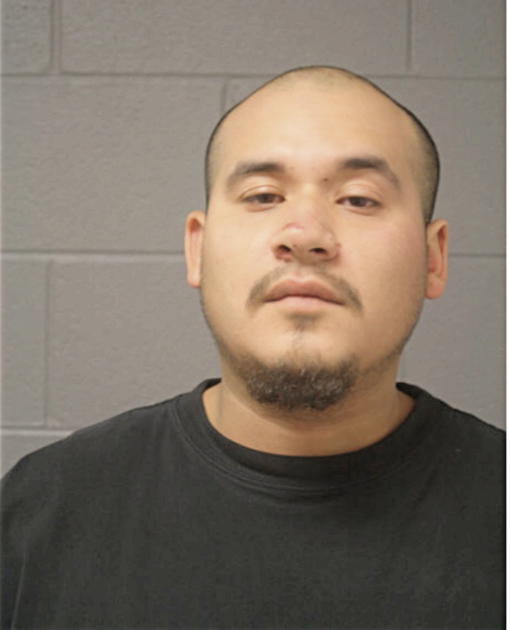 ALBERTO VEGA, Cook County, Illinois
